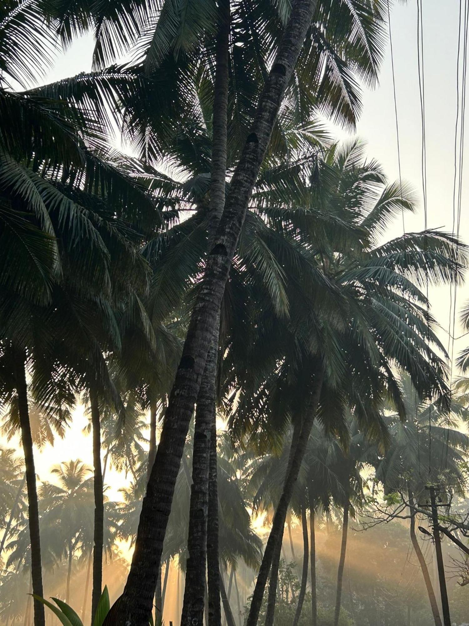 The Bungalow Bogmalo An 1880 Indo Portuguese Heritage Beach Villa South Goa Εξωτερικό φωτογραφία