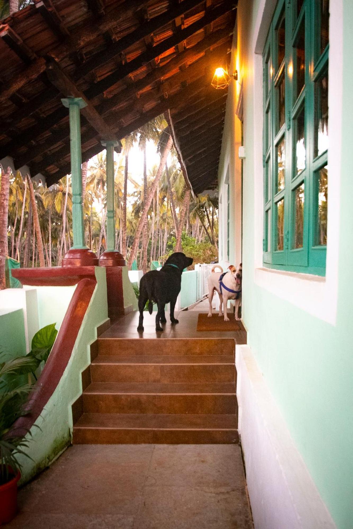 The Bungalow Bogmalo An 1880 Indo Portuguese Heritage Beach Villa South Goa Εξωτερικό φωτογραφία
